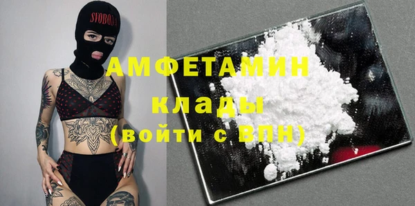 шишки Заполярный