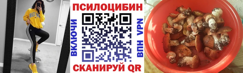 Галлюциногенные грибы прущие грибы где купить Гусев