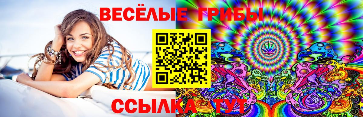 Галлюциногенные грибы Magic Shrooms  Вход с VPN  Гусев 