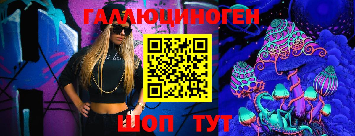 Галлюциногенные грибы Psilocybine cubensis  Гусев 